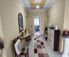 SHITET VILE DHE TOKE E INVESTUAR GOLEM I MADHE LUSHNJE - 8