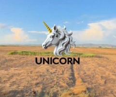 SHITET OBJEK INDUSTRIAL PRANE PUSHIMIT TE SHOFERIT - 4