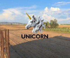 SHITET OBJEK INDUSTRIAL PRANE PUSHIMIT TE SHOFERIT - 9