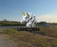 SHITET OBJEK INDUSTRIAL PRANE PUSHIMIT TE SHOFERIT - 10