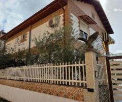 SHITET VILE NE QYTET NE LUSHNJE