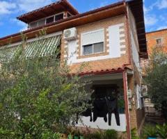 SHITET VILE NE QYTET NE LUSHNJE - 3