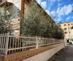 SHITET VILE NE QYTET NE LUSHNJE - 8