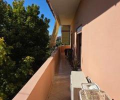 SHITET OSE JEPET ME QIRA SHTEPI PRIVATE NE QYTETI E LUSHNJES - 4