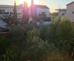 SHITET VILE 3 KATE NE SARAVE LUSHNJE - 3