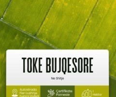 TOKË NË SHITJE Vije e Pare Buze Autostrades Lushnje - Fier prane pushimit te Shoferit