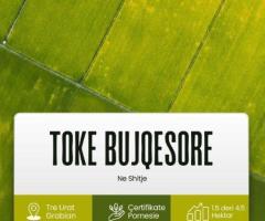 SHITET TOKË BUJQËSORE – RRETHRROTULLIMI I 3 URAVE, GRABIAN, LUSHNJE