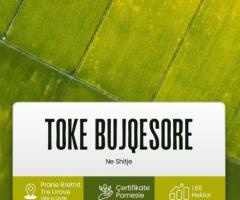 SHITET TOKË – VIJË E DYTË, RRETHRROTULLIMI I TRE URAVE, LUSHNJE SUPER POZICION STRATEGJIK