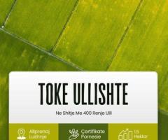 SHITET TOKË – ULLISHTE NË ALLPRENAJ, LUSHNJE