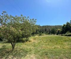 Shitet Toke dhe vile 3-Kate - 2