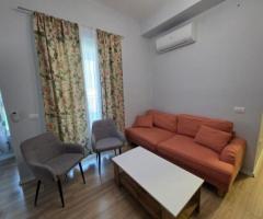Apartament me qera ne tirane 1+1 te Ali Demi