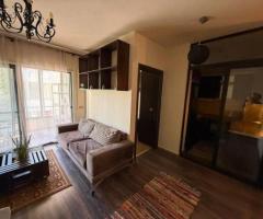 Apartament me qera ne tirane 1+1 Liqeni i Thate,Rruga Ullishtes,prane Hotel Radisson - 3