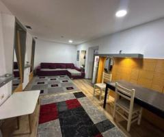 Apartament me qera ne tirane 1+1 te Rruga e Elbasanit,prane Institutit te Higjenes - 4