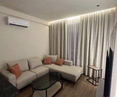Apartament me qera ne tirane te Ali Demi